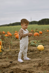 Gray evolutionary overalls 