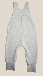 Gray evolutionary overalls 